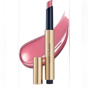 Estée Lauder Lip Duo • Pure Color Melt-On Glosstick and Lip Liner ~ New